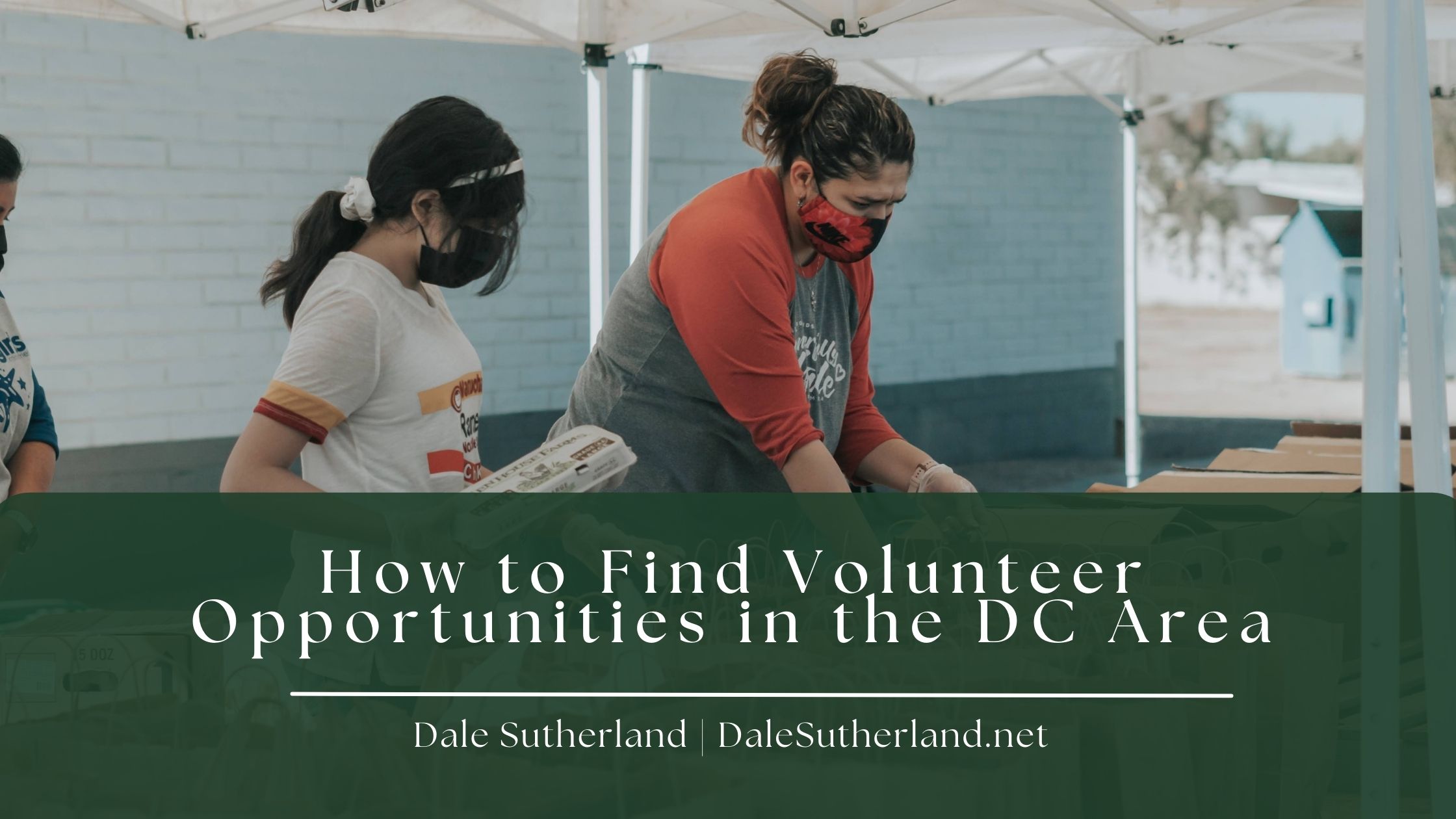 how-to-find-volunteer-opportunities-in-the-dc-area-dale-sutherland